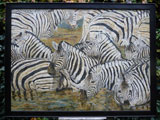 zebry | zebras